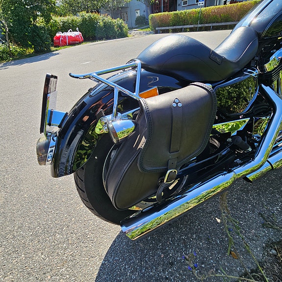 Harley-Davidson 1200 Custom 9 of 14