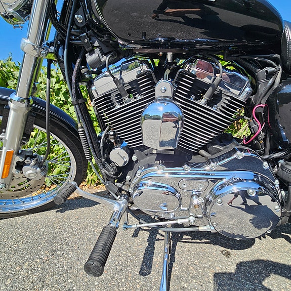 Harley-Davidson 1200 Custom 7 of 14