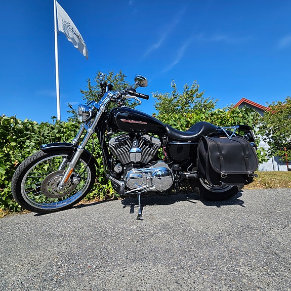 Harley-Davidson 1200 Custom 4 of 14
