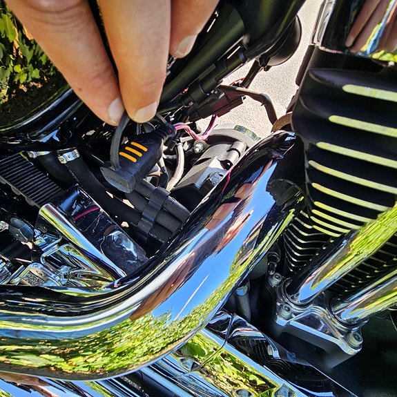 Harley-Davidson 1200 Custom 13 of 14