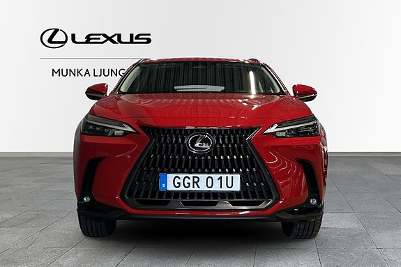 Lexus NX350h 4 of 14