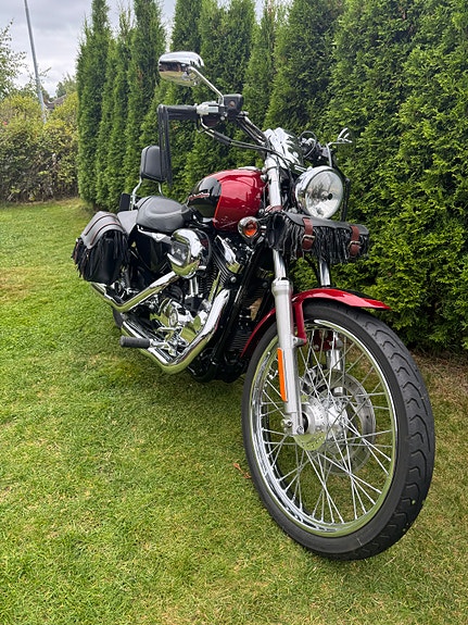 Harley-Davidson XL 1200 Sportster 8 of 13