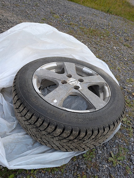 Renault Clio 12 of 18