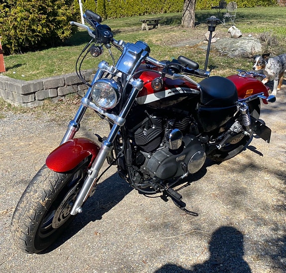 Harley-Davidson XL1200CA 3 of 4