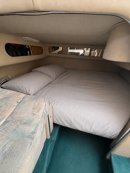 SEA RAY 290 - MOTOR BYTT - BOG PROPP - HÖST PRIS 15 of 16