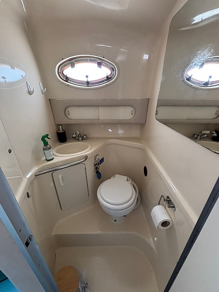 SEA RAY 290 - MOTOR BYTT - BOG PROPP - HÖST PRIS 14 of 16