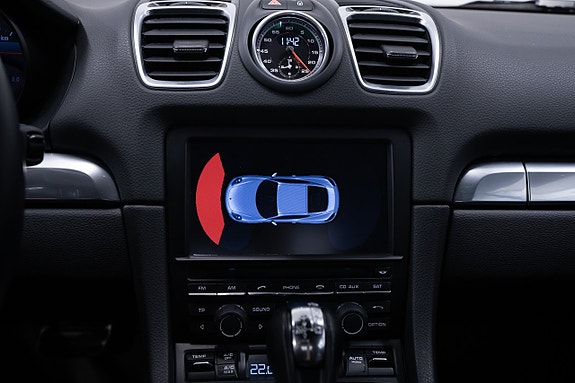 Porsche Cayman S 19 of 20