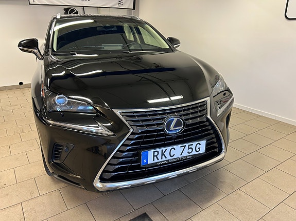 Lexus NX300h 5 of 15