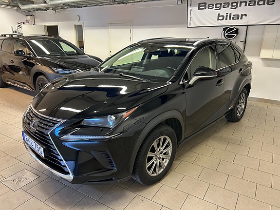 Lexus NX300h 6 of 15