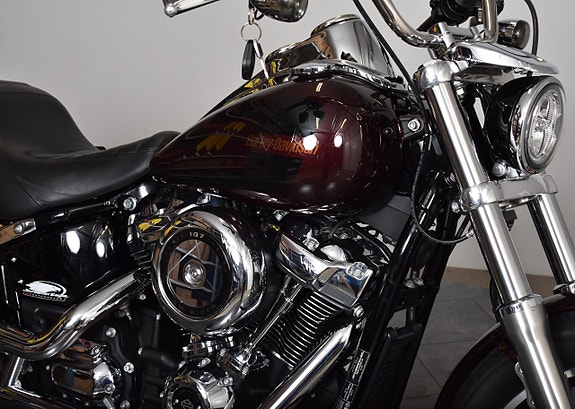 Harley-Davidson Low Rider Screamin Eagle Slipon / Crashbar / Lejonkulan 13 of 19