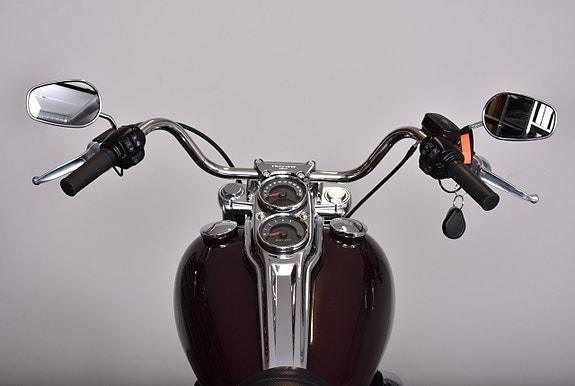 Harley-Davidson Low Rider Screamin Eagle Slipon / Crashbar / Lejonkulan 18 of 19