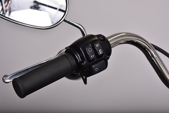 Harley-Davidson Low Rider Screamin Eagle Slipon / Crashbar / Lejonkulan 16 of 19