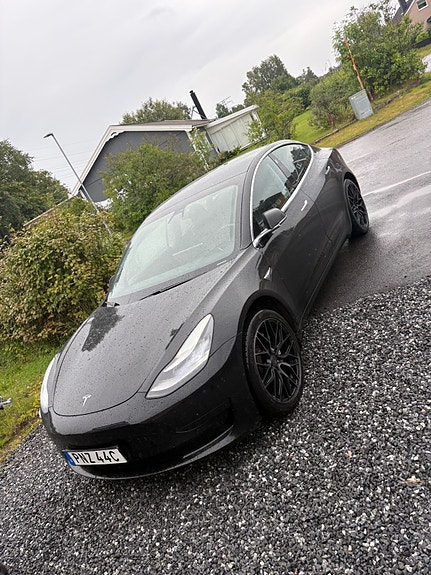 Tesla 2019