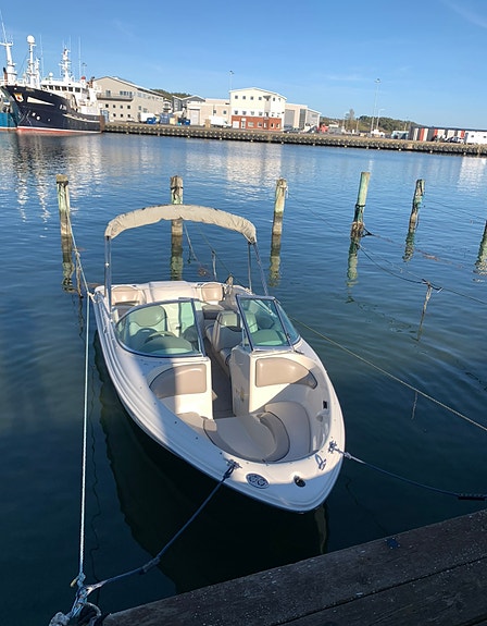 Sea Ray (Sen sommar pris) 3 of 4