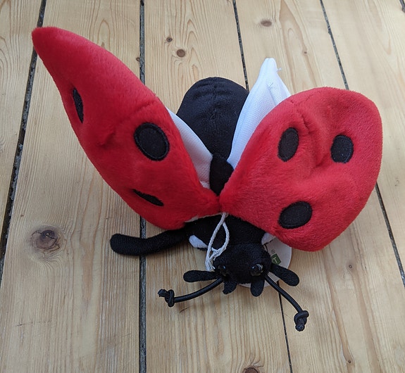 Product image 5 of 8