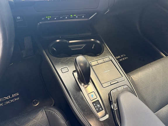 Lexus UX300e 9 of 19