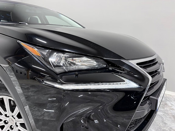 Lexus NX300h 10 of 25