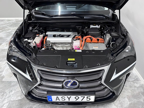 Lexus NX300h 12 of 25