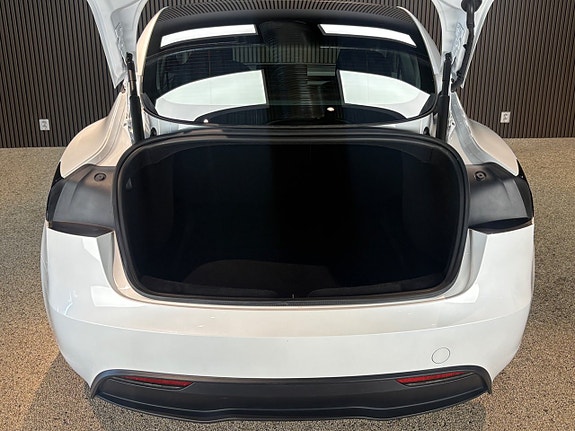 Tesla Model 3 19 of 20
