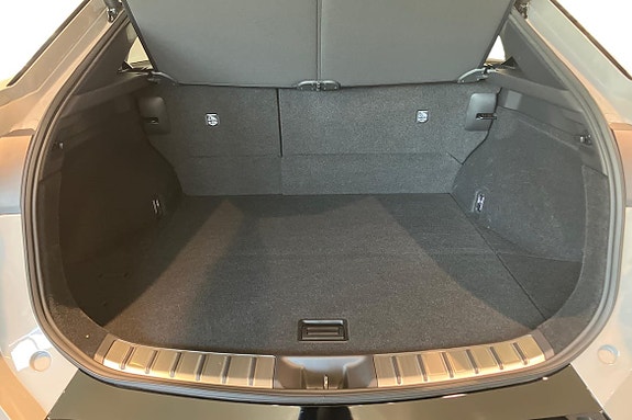 Lexus RZ550e 19 of 20