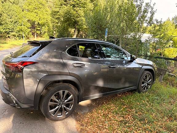 Lexus UX250h 6 of 14