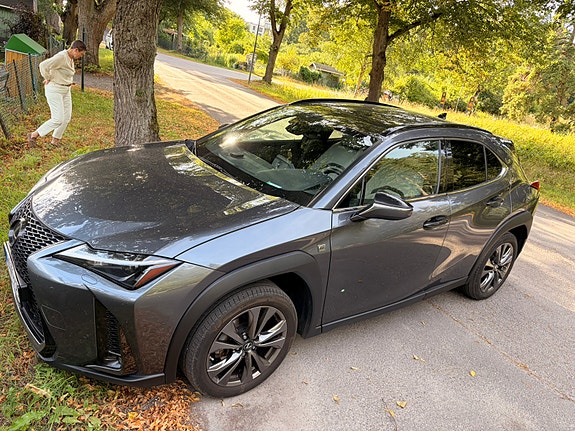 Lexus UX250h 8 of 14