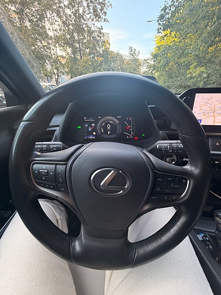 Lexus UX250h 12 of 14