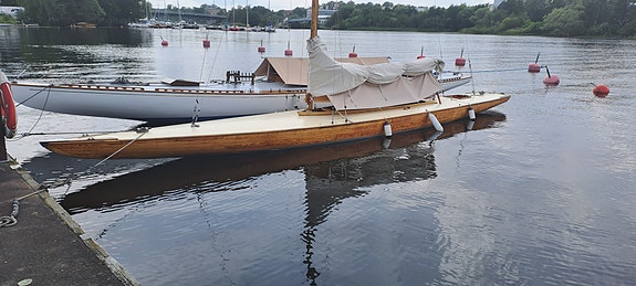 Fenkölsracer 7 of 8