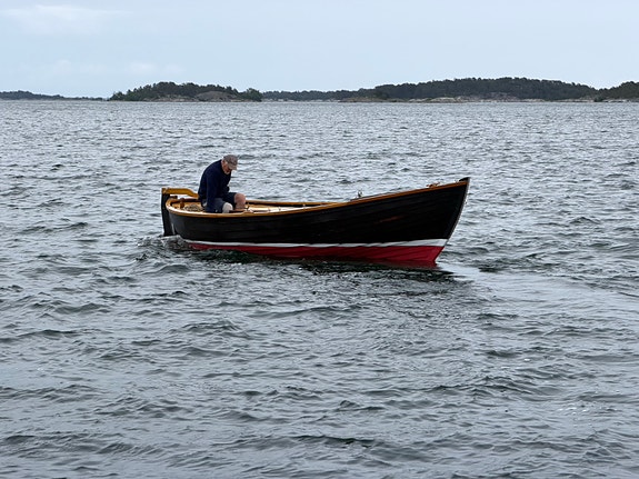 Möllesnipa i fur på ek 5 of 6