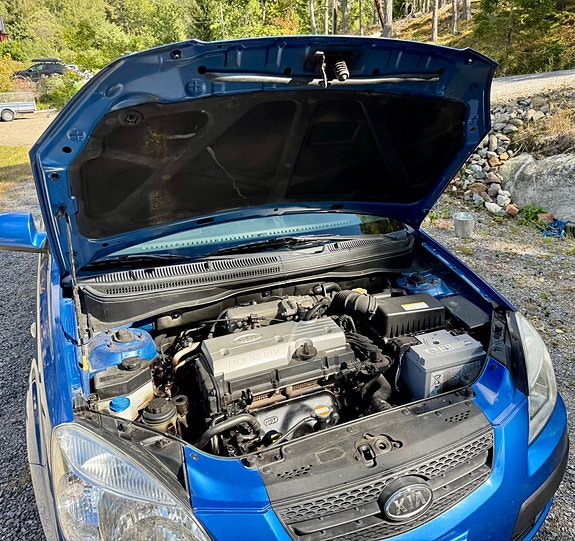 Kia Rio 10 of 15