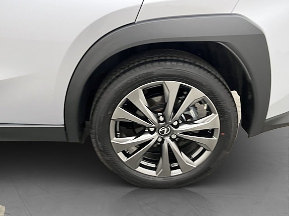 Lexus UX250h 28 of 30