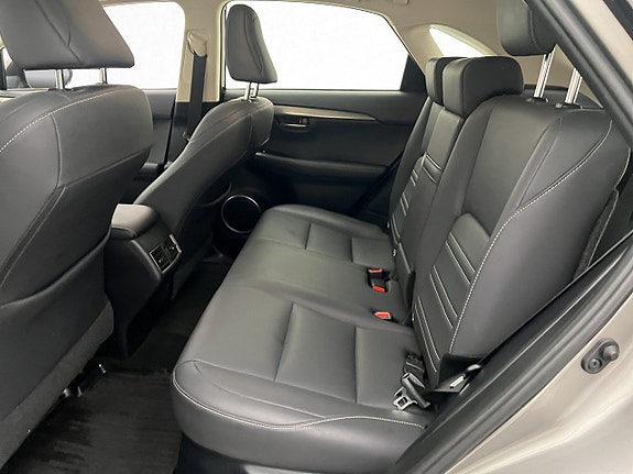 Lexus NX450h+ 13 of 24
