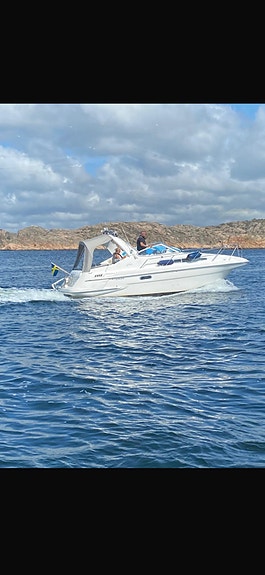 Sealine 270 – KAD 42 Diesel 2 of 9