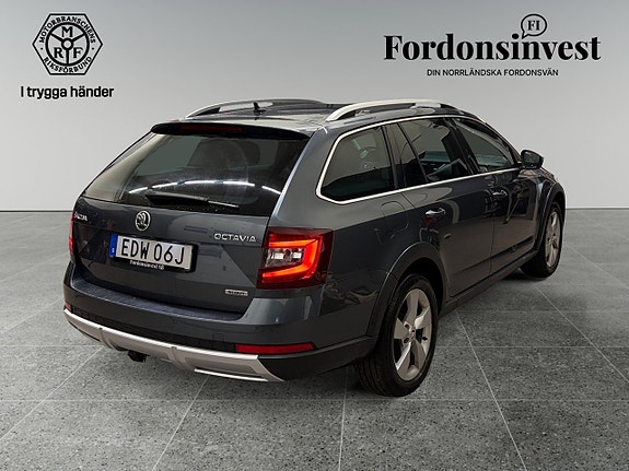 Skoda Octavia Scout 6 of 18