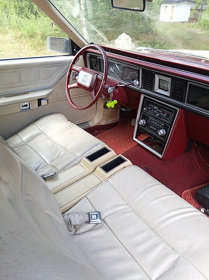 Ford Thunderbird 5 of 5