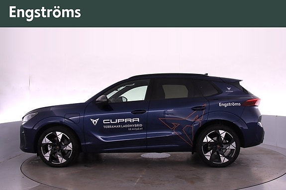 Cupra Terramar 5 of 15
