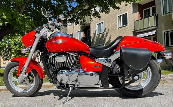 Suzuki VZ800 Intruder 5 of 5