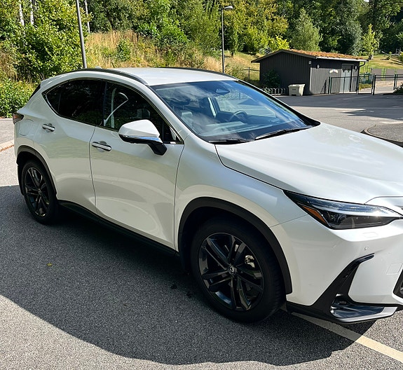 Lexus NX450h+ 6 of 10