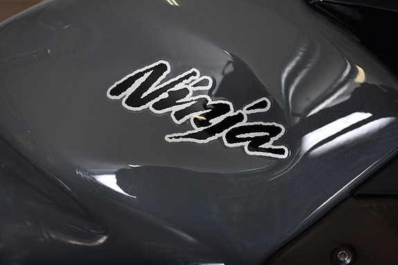 Kawasaki NINJA 650 ABS /HELSYSTEM M.M. /NYSERVAD 12 of 19