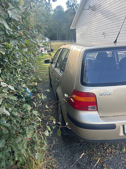 Volkswagen Golf IV 4 of 8