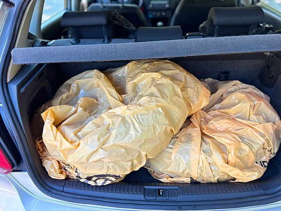 Volkswagen Polo 11 of 13