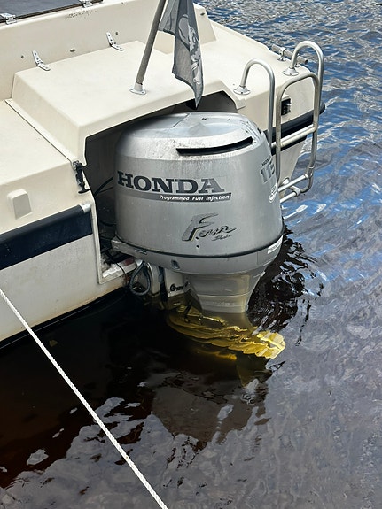 Finnsport 650 AC med 115hk fyrtaktare och trailer 7 of 11