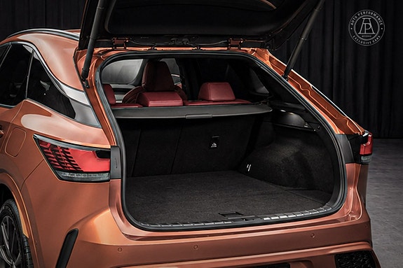 Lexus RX500h 13 of 13