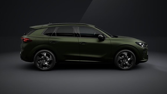Cupra Terramar 8 of 9