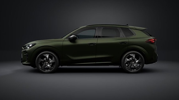 Cupra Terramar 3 of 13