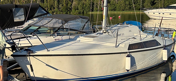 Maxi 77, 1980 årsmodell 2 of 2