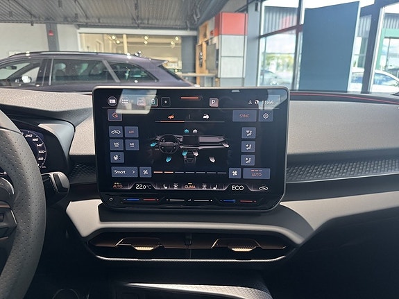 Cupra Terramar 21 of 22
