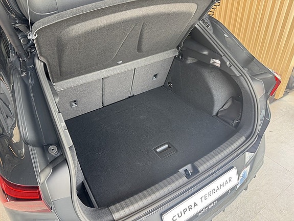 Cupra Terramar 10 of 22