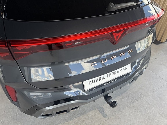 Cupra Terramar 11 of 22