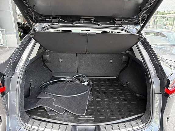 Lexus NX450h+ 10 of 15